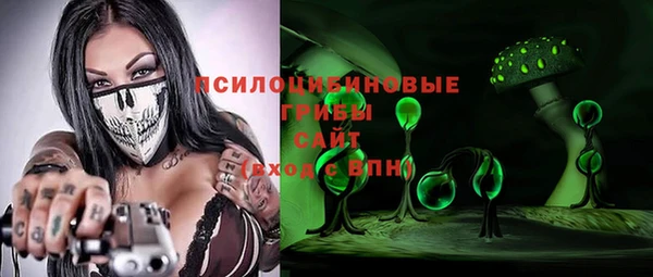 гашик Нея
