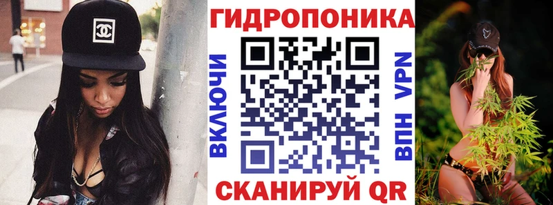 дарнет шоп  Мариинск  Канабис AK-47 